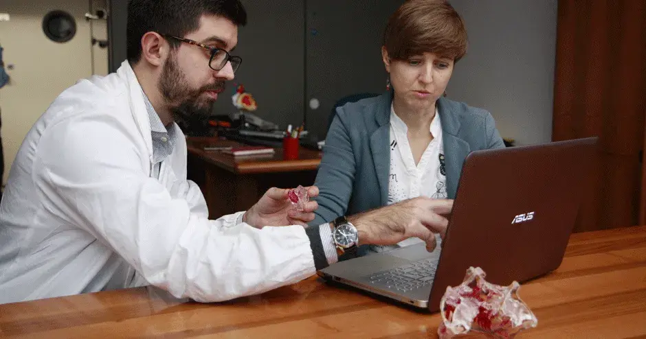 D2P-Software-Anwender mit Modellen