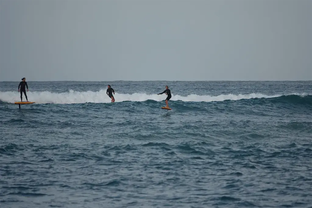 Testen der von KAI Concepts mit Figure 4 gedruckten Prototypen des „Jetfoiler“ direkt im Wasser