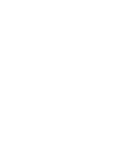 AIG Path to Market klein
