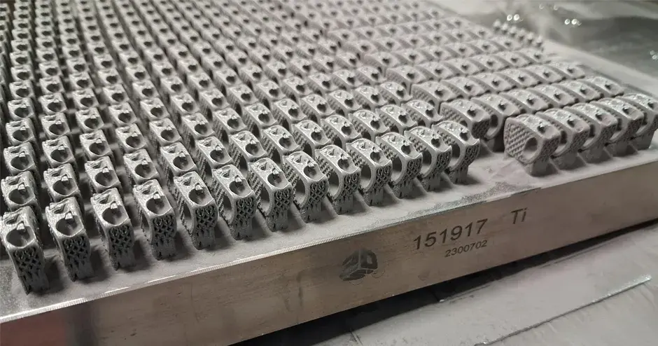 NovaSpine-Tablett mit 3D-gedruckten Cages